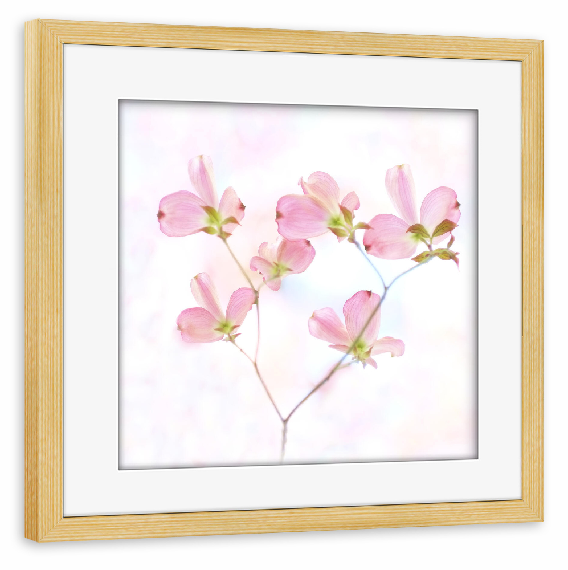 Poster mit Rahmen kiefer "Pink Love" artboxONE - Natur,Floral,Liebe - Blüten,Frühling,Natur,Pink,Rosa,Nature,Spring,Floral