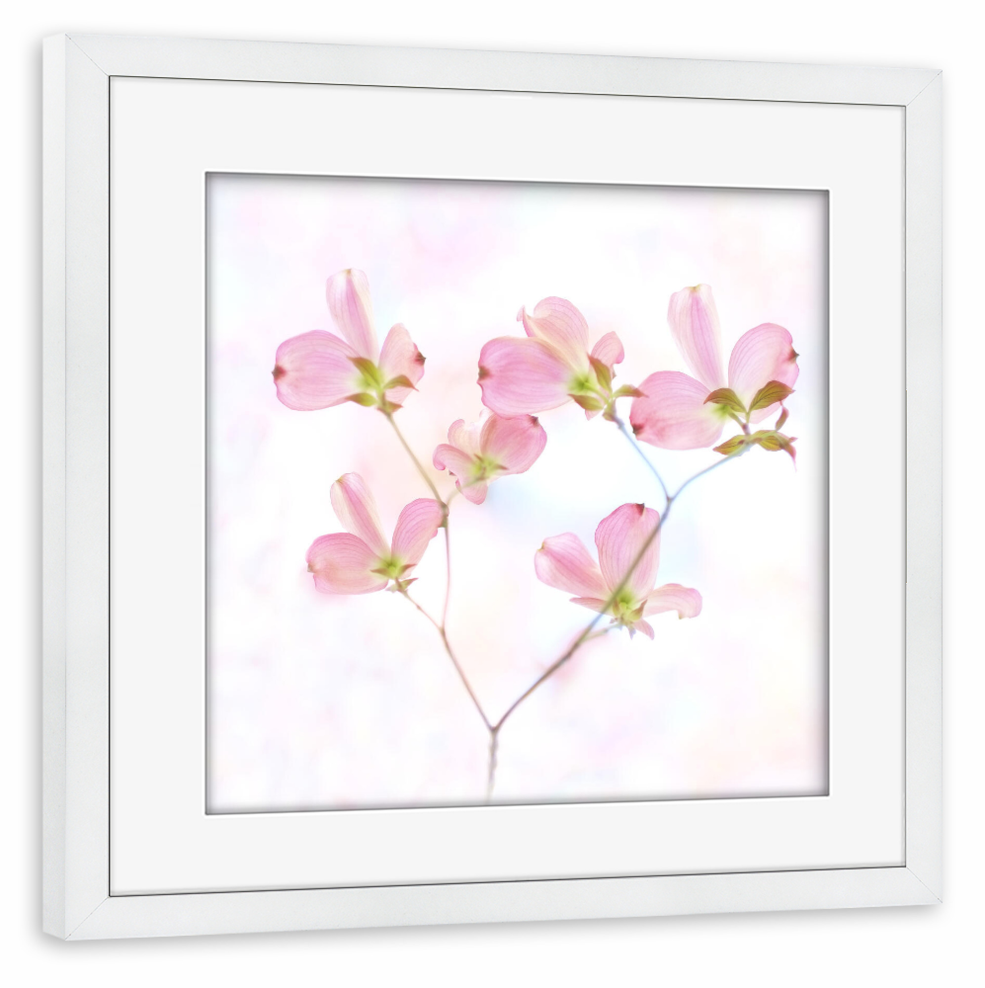 Poster mit Rahmen weiß "Pink Love" artboxONE - Natur,Floral,Liebe - Blüten,Frühling,Natur,Pink,Rosa,Nature,Spring,Floral