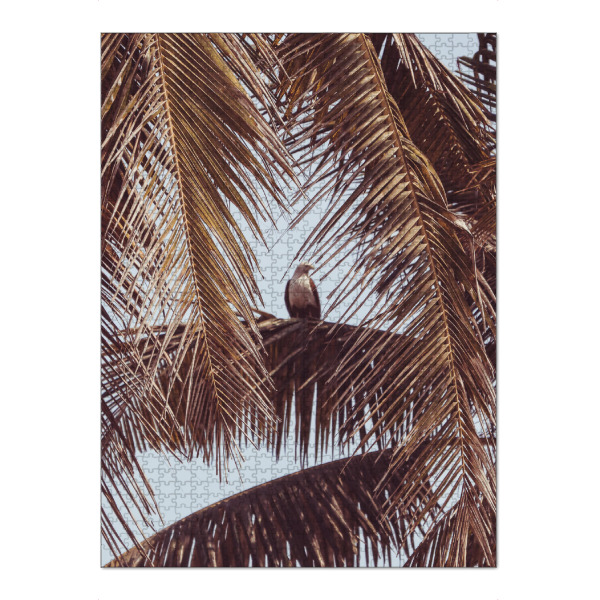 Puzzle Ravensburger "Eagle Eye" artboxONE - Reise,Tiere,Reise / Strand und Meer