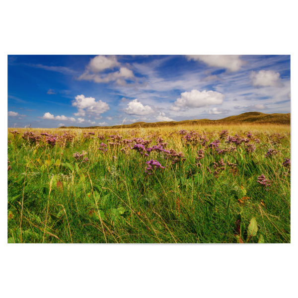 Poster "De Slufter" artboxONE - Natur,Reise