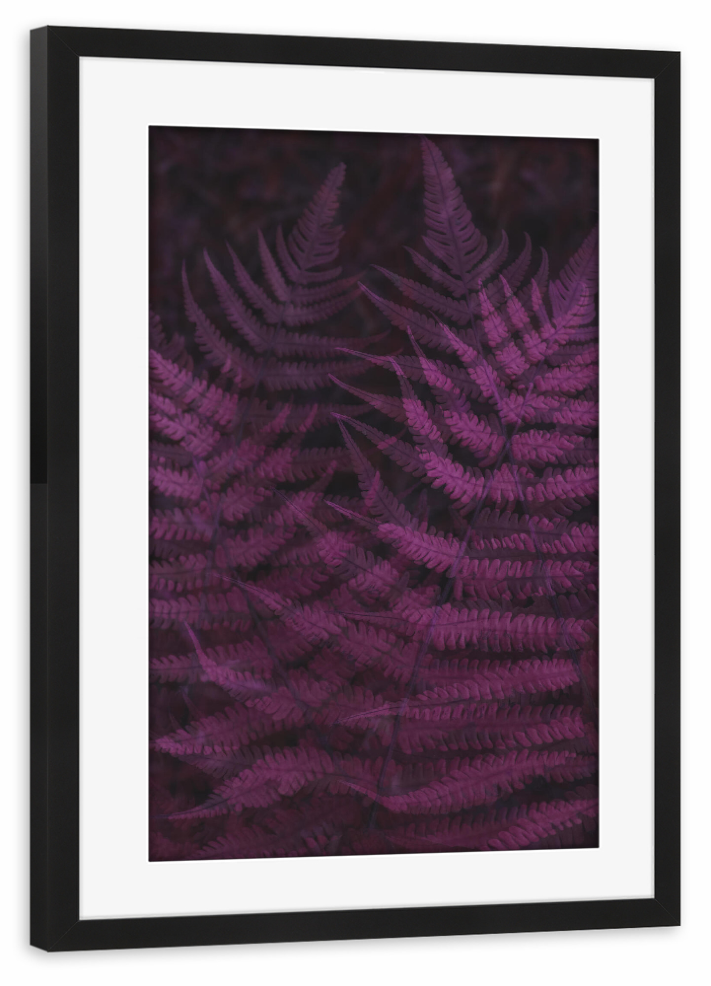 Poster mit Rahmen schwarz "Impacto Pink" artboxONE - Natur,Floral,Abstrakt