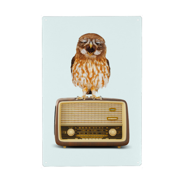 Metall Poster "SINGING OWL" artboxONE - Tiere,Musik,Lustig