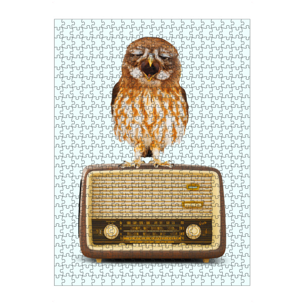 Puzzle Ravensburger "SINGING OWL" artboxONE - Tiere,Musik,Lustig