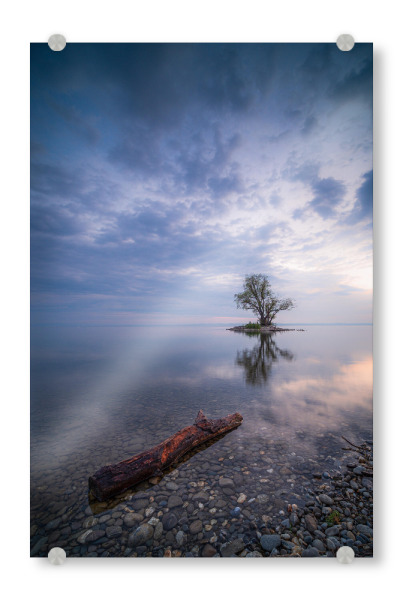 Acrylglasbild "Einsamer Baum" artboxONE - Natur,Reise / Strand und Meer,Reise / Länder