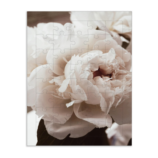 White Blooming Flower