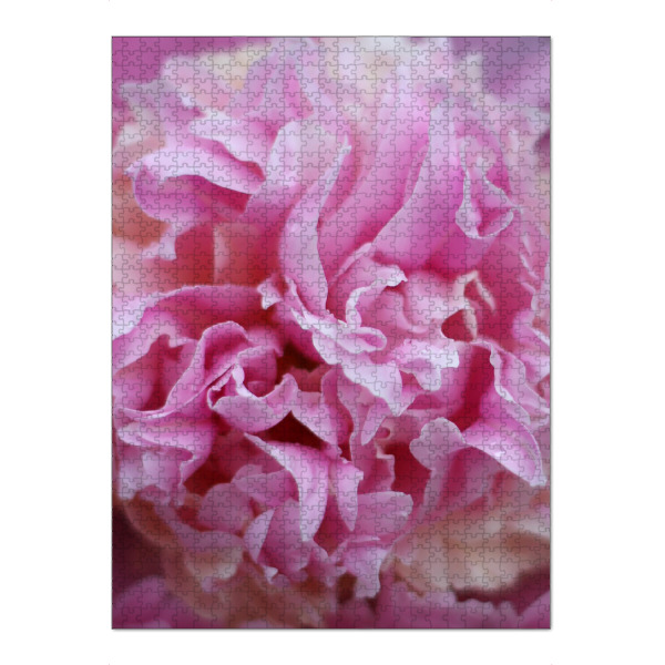 Puzzle Ravensburger "Pfingstrosentraum" artboxONE - Natur,Floral