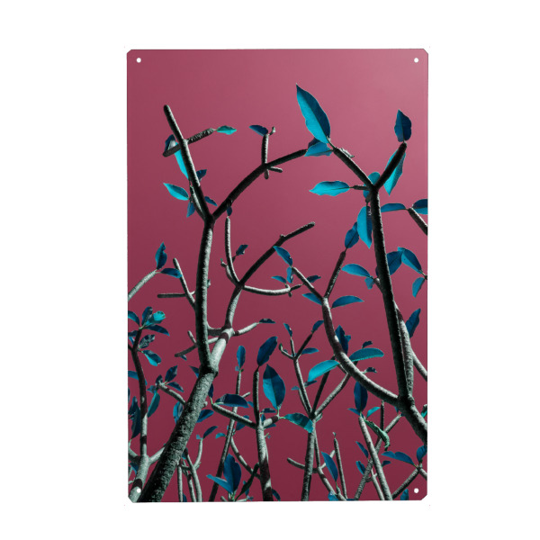 Holzbild "Pop Tree" artboxONE - Natur,Floral,Abstrakt - Photography,Tree,Botanic,Leaves,Blätter,Colors,Pink,Blue,Pop,Natur,Nature,Botanical