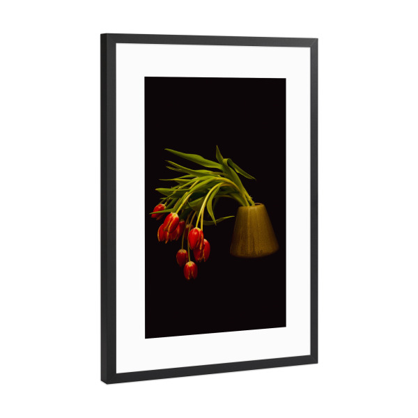 Poster mit Rahmen Schwarz (Metallic) "Tulpen - rot" artboxONE - Natur,Floral