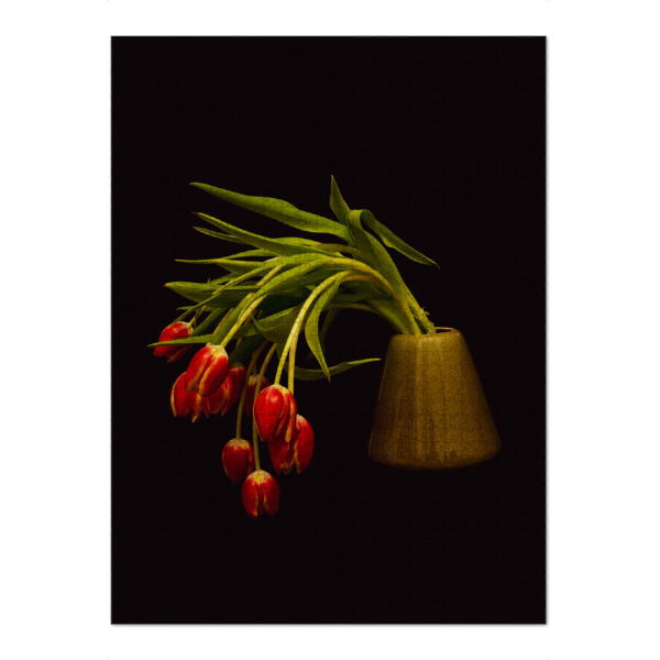 Puzzle Ravensburger "Tulpen - rot" artboxONE - Natur,Floral - Tulpen,Rot,Blumen,Blumenstrauss,Vase,Frühling,Dunkel,Blüte,Flowers,Strauß,Natur,Nature