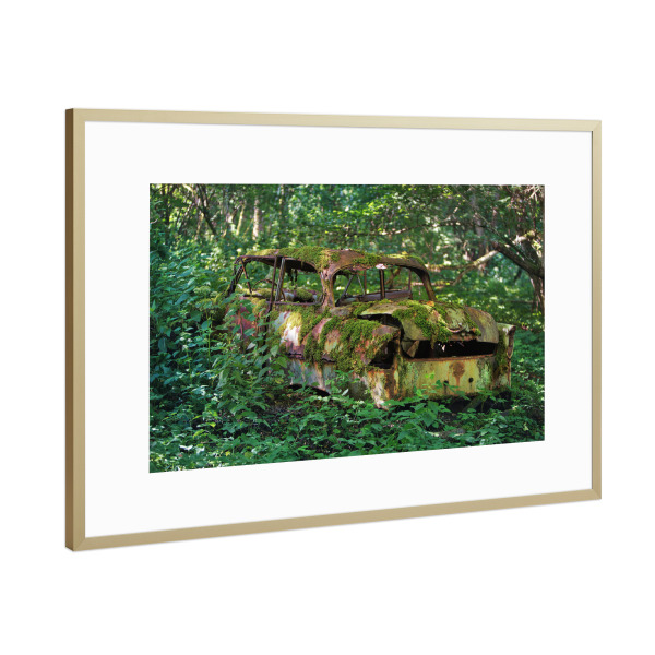Poster mit Rahmen Gold "Stay in woods" artboxONE - Natur,Automobile