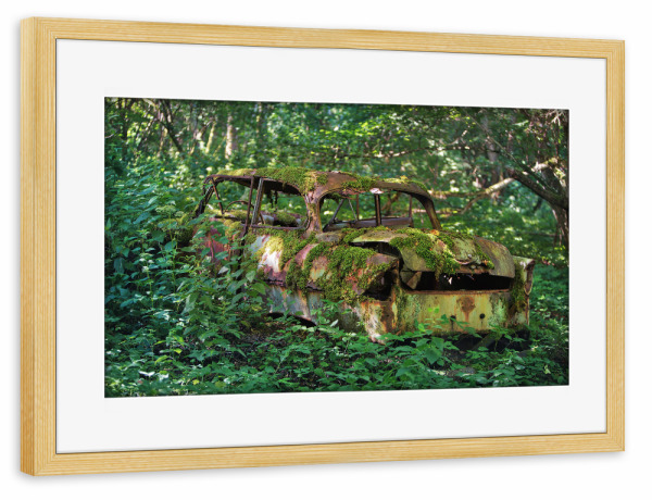 Poster mit Rahmen kiefer "Stay in woods" artboxONE - Natur,Automobile