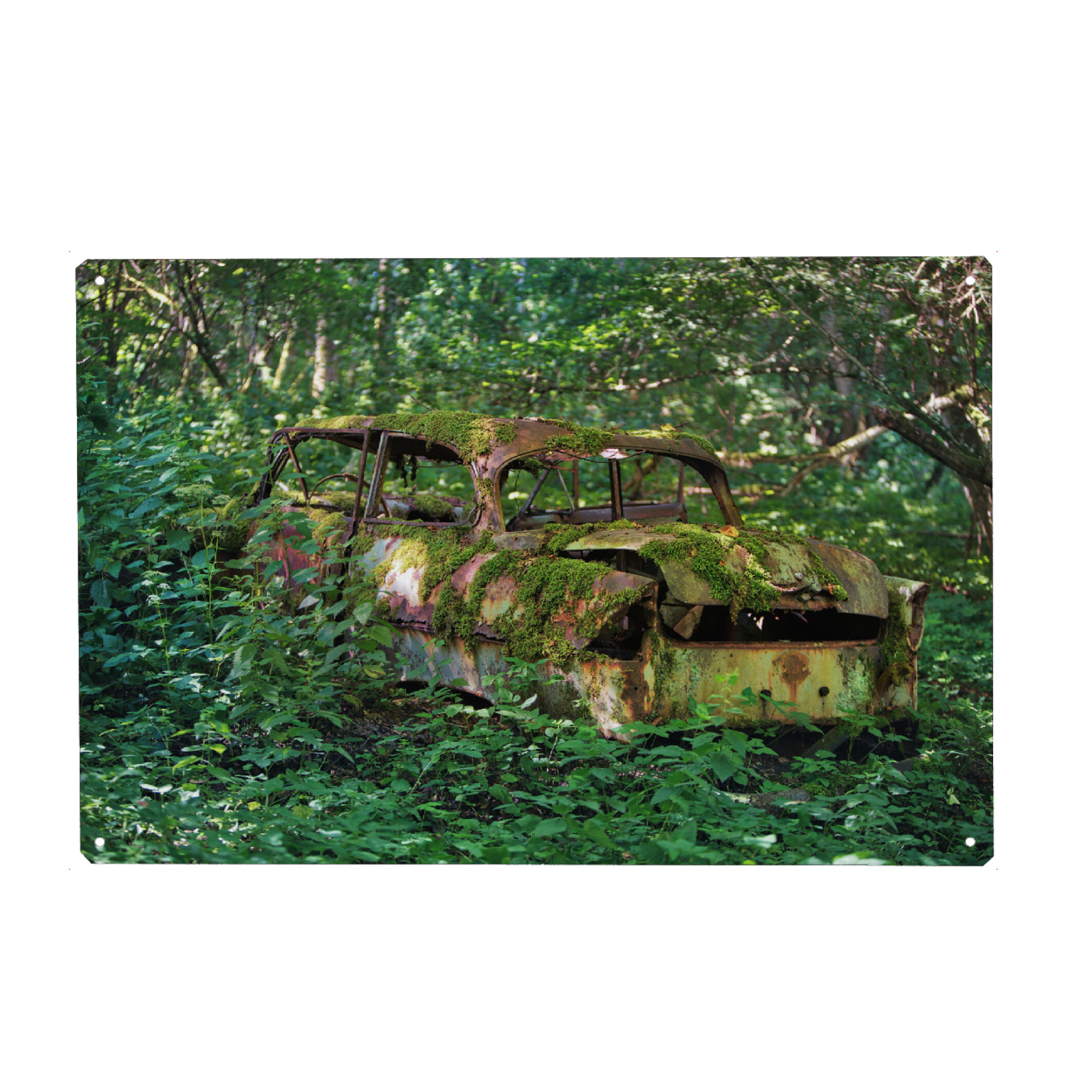 Holzbild "Stay in woods" artboxONE - Natur,Automobile