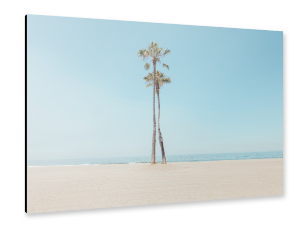 Alu-Dibond "Palmenstrand" 30x20 cm artboxONE
