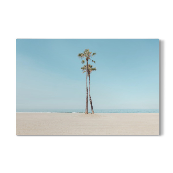 Galerie-Print "Palmenstrand" 30x20 cm artboxONE