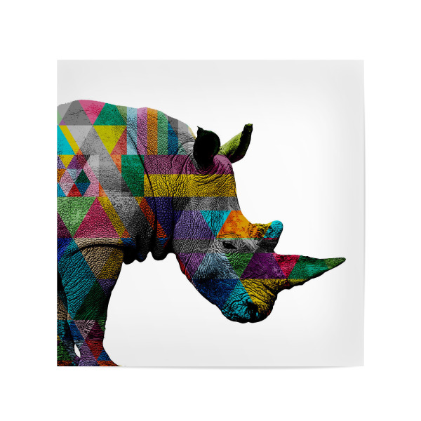 Poster 20x20 cm "Bunt Weißes Nashorn" artboxONE - Tiere,Streetart