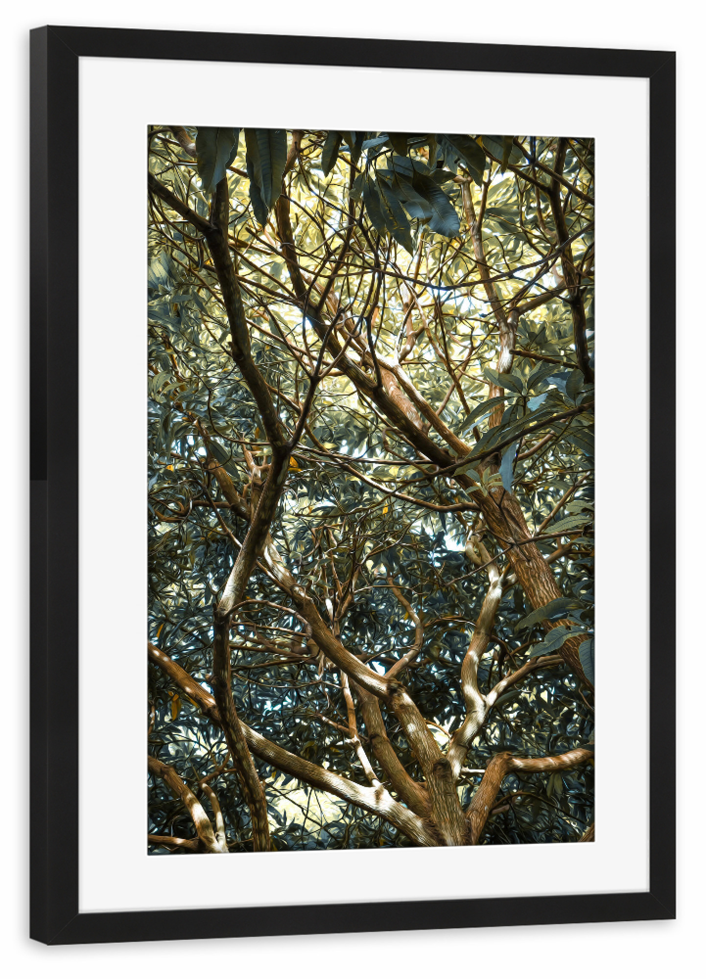 Poster mit Rahmen schwarz "Painted Jungle" artboxONE - Natur - Jungle,Trees,Leaves,Green,Bäume,Wald,Forest,Natur,Nature