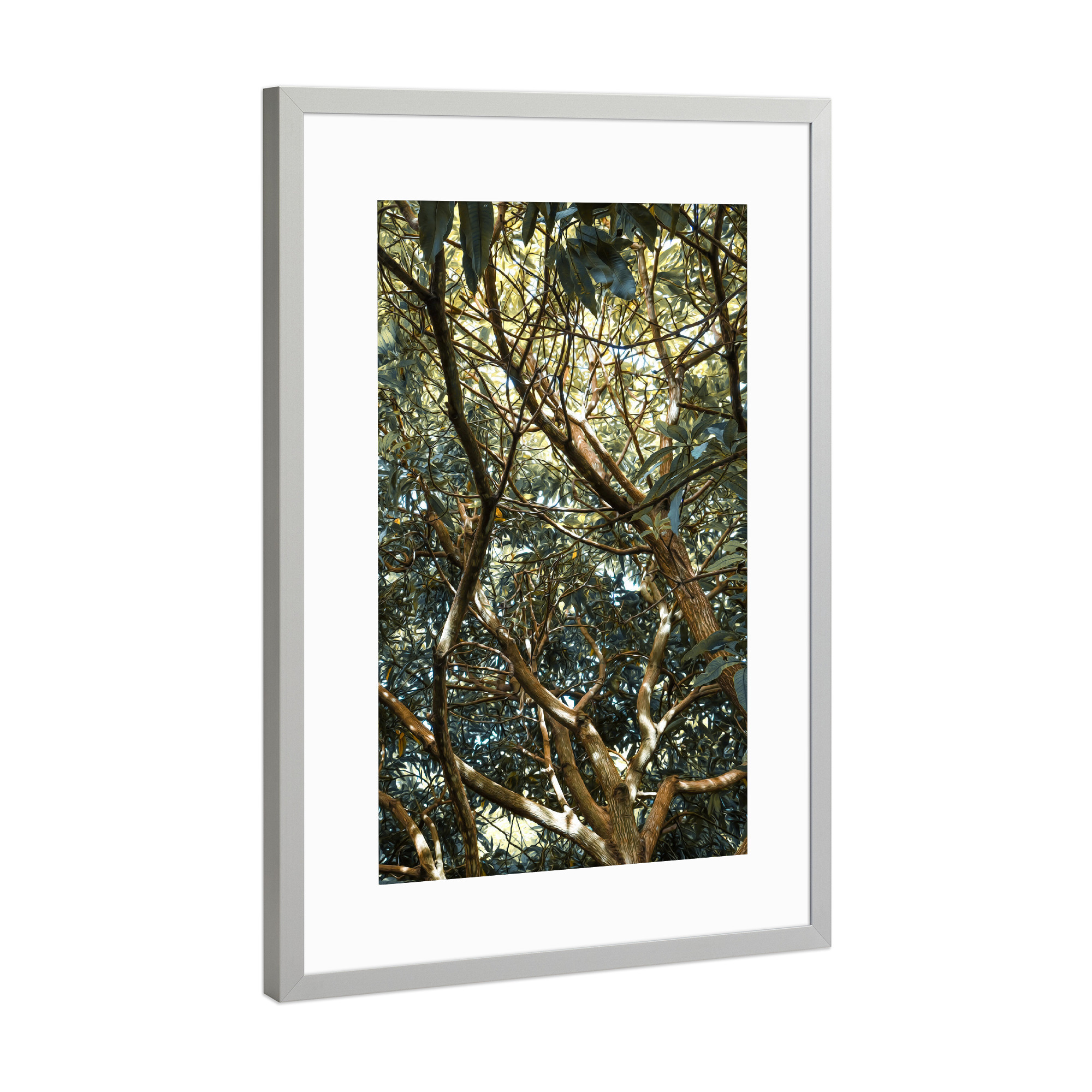 Poster mit Rahmen Silber "Painted Jungle" artboxONE - Natur - Jungle,Trees,Leaves,Green,Bäume,Wald,Forest,Natur,Nature