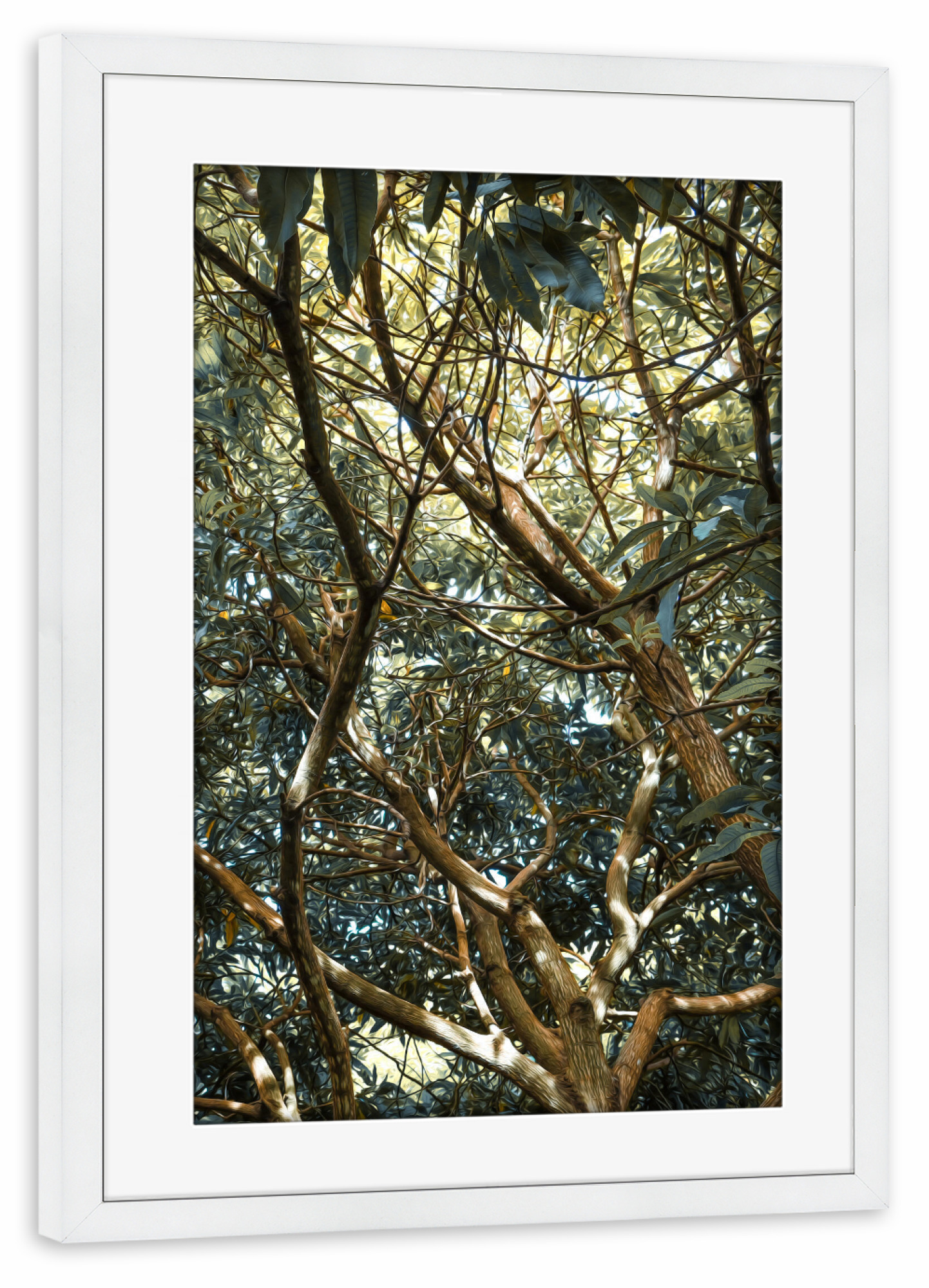 Poster mit Rahmen weiß "Painted Jungle" artboxONE - Natur - Jungle,Trees,Leaves,Green,Bäume,Wald,Forest,Natur,Nature