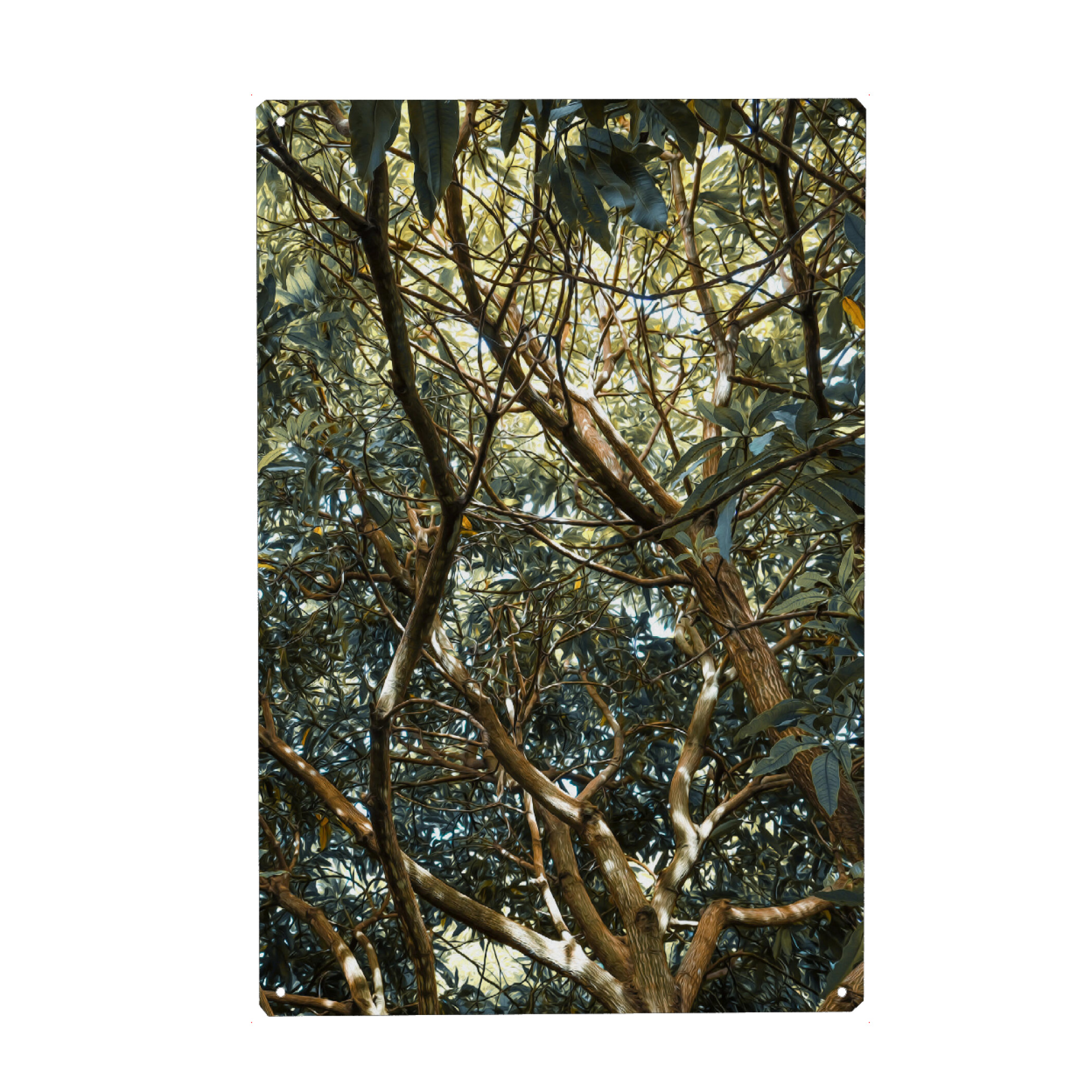 Metall Poster "Painted Jungle" artboxONE - Natur - Jungle,Trees,Leaves,Green,Bäume,Wald,Forest,Natur,Nature - Blechschild