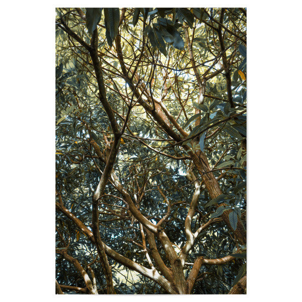Poster "Painted Jungle" artboxONE - Natur - Jungle,Trees,Leaves,Green,Bäume,Wald,Forest,Natur,Nature
