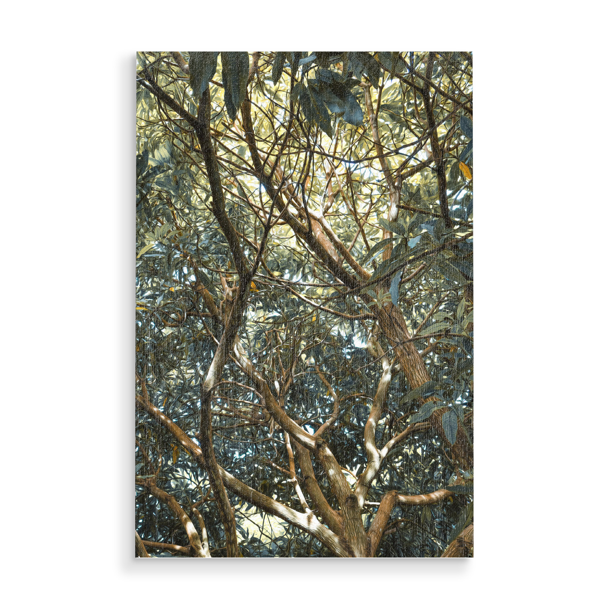 Holzbild "Painted Jungle" artboxONE - Natur - Jungle,Trees,Leaves,Green,Bäume,Wald,Forest,Natur,Nature