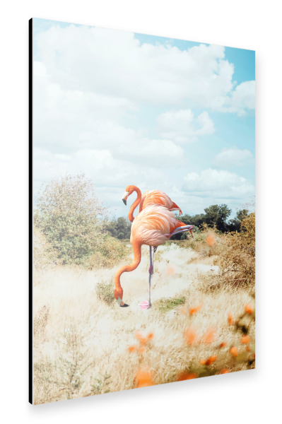 Alu-Dibond "Flamingo Couple" 30x20 cm artboxONE