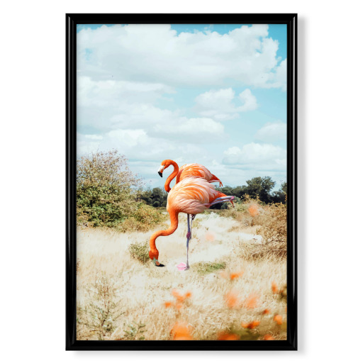 Flamingo Couple
