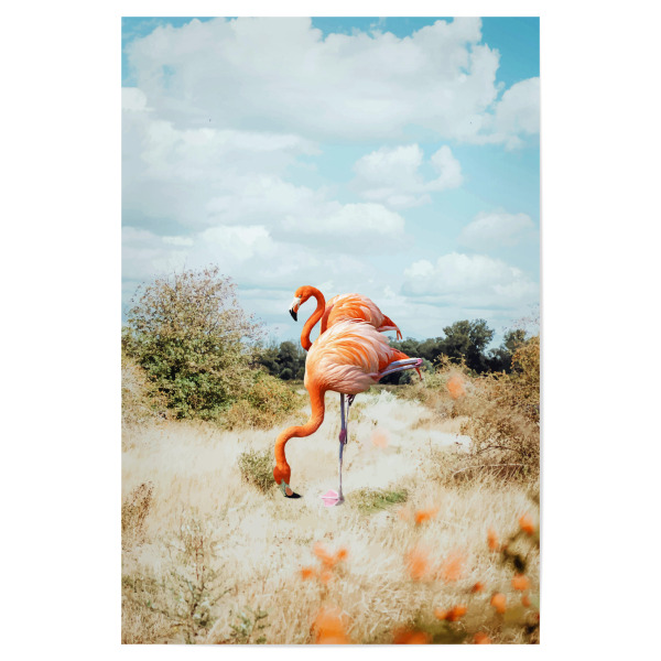 Poster 30x20 cm "Flamingo Couple" artboxONE - Natur,Tiere
