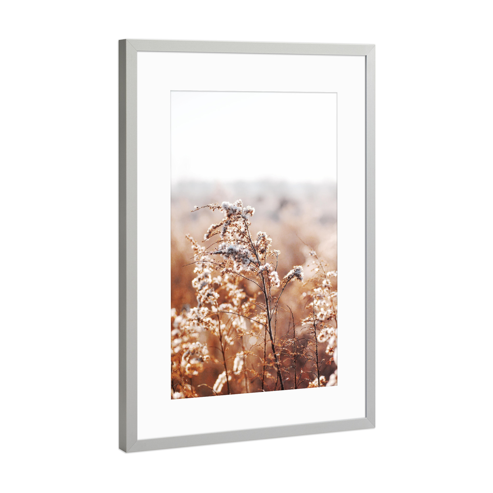 Poster mit Rahmen Silber "Autumn Plant" artboxONE - Natur,Floral - Plant,Autumn,Boho,Nature,Natur,Pflanzen,Closeup,Nahaufnahme,Floral