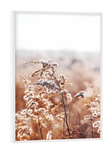 Poster mit weißem Rahmen "Autumn Plant" artboxONE - Natur,Floral - Plant,Autumn,Boho,Nature,Natur,Pflanzen,Closeup,Nahaufnahme,Floral