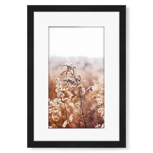 Autumn Plant