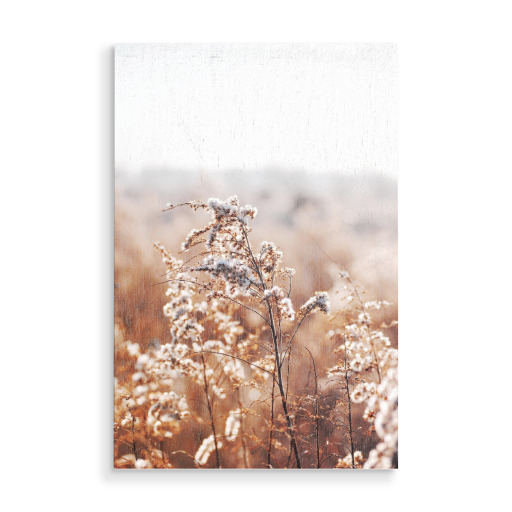 Autumn Plant