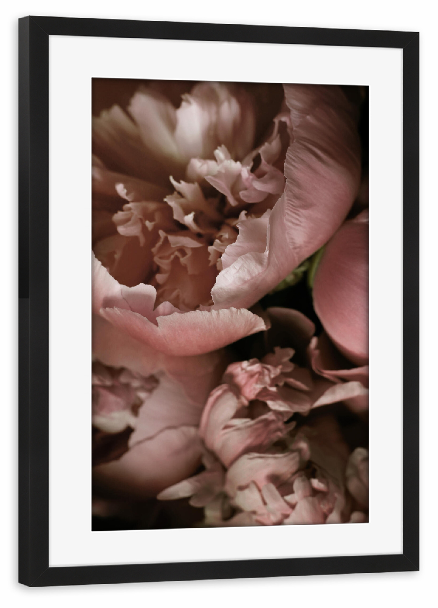 Poster mit Rahmen schwarz "Elegant Peony" artboxONE - Natur,Floral,Liebe,Für Mama