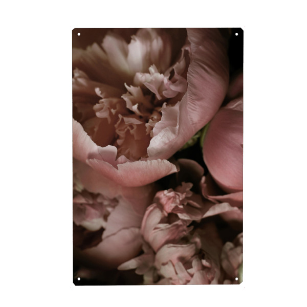 Holzbild "Elegant Peony" artboxONE - Natur,Floral,Liebe,Für Mama