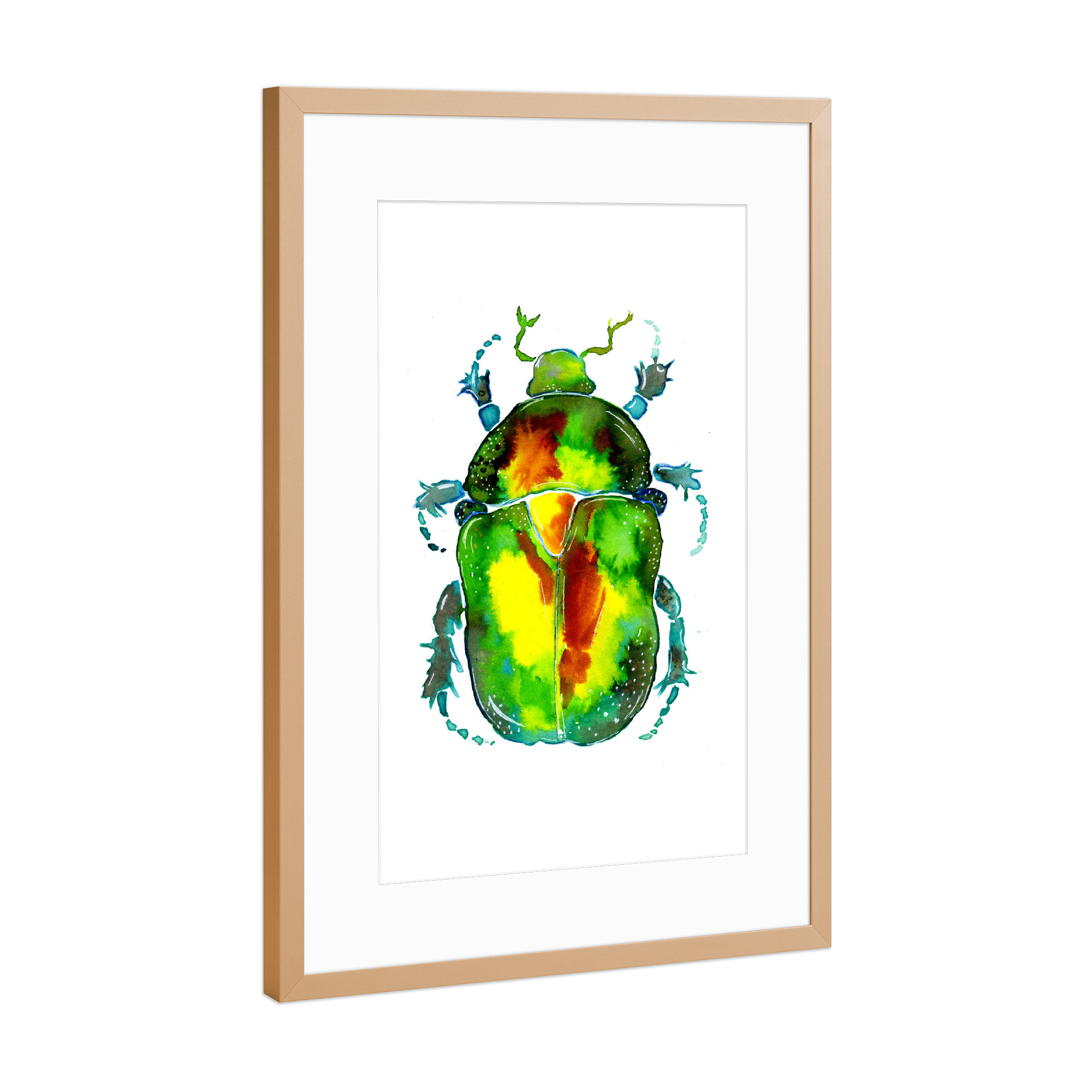 Poster mit Rahmen Kupfer "Goldglänzender Rosenkäfer" artboxONE - Natur,Tiere,Abstrakt