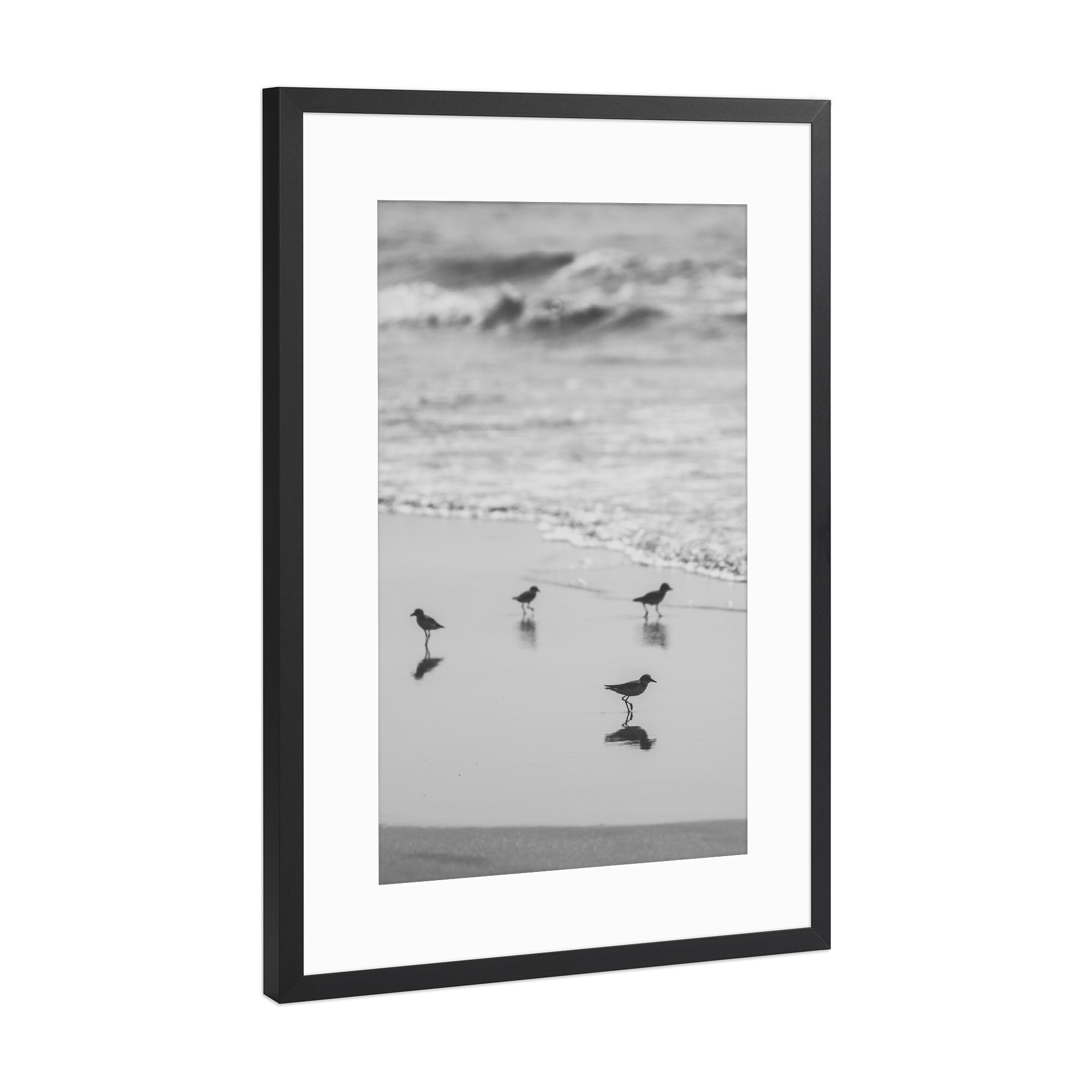 Poster mit Rahmen Schwarz (Metallic) "Birds Club" artboxONE - Tiere,Reise / Strand und Meer