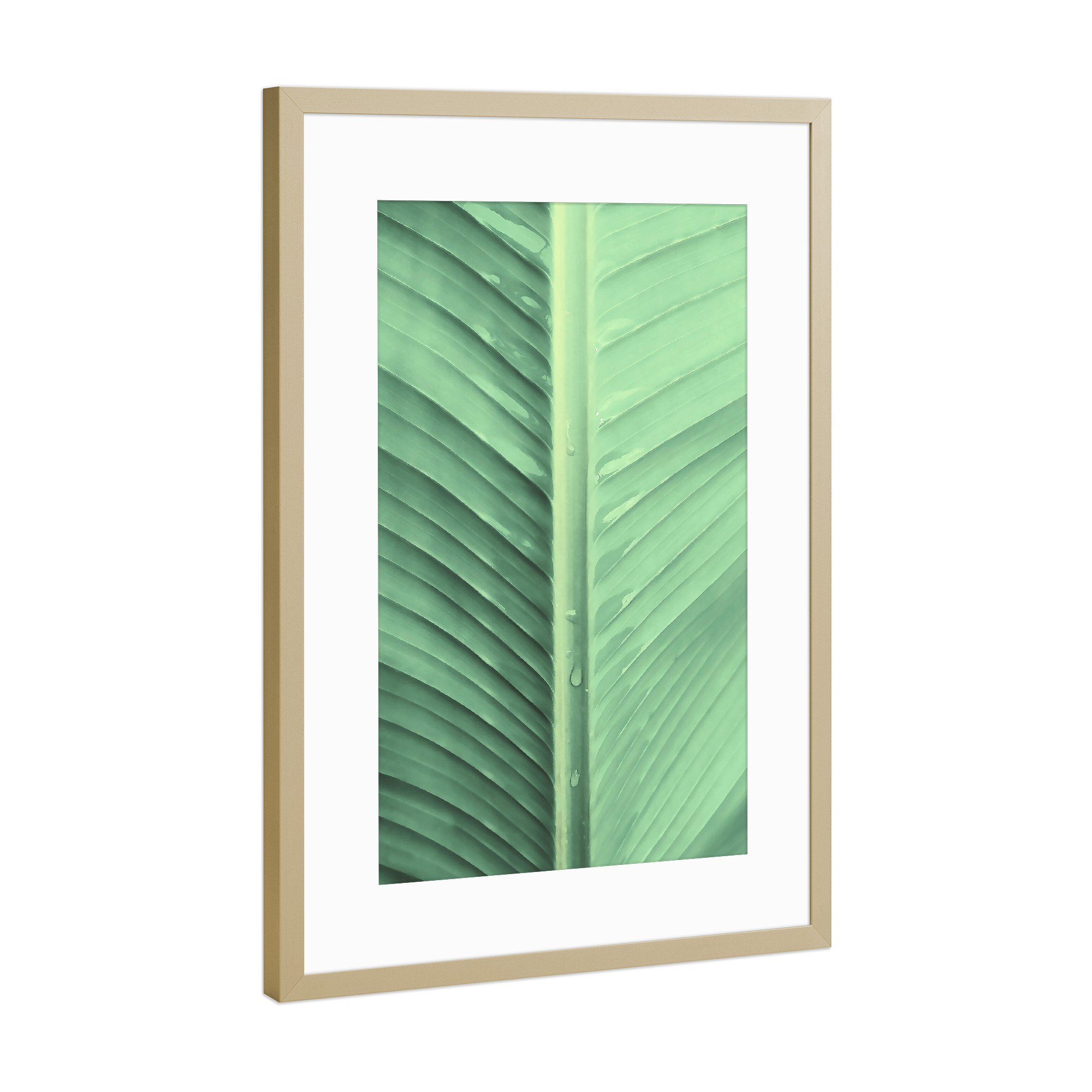 Poster mit Rahmen Gold "Banana Leaf Macro" artboxONE - Natur