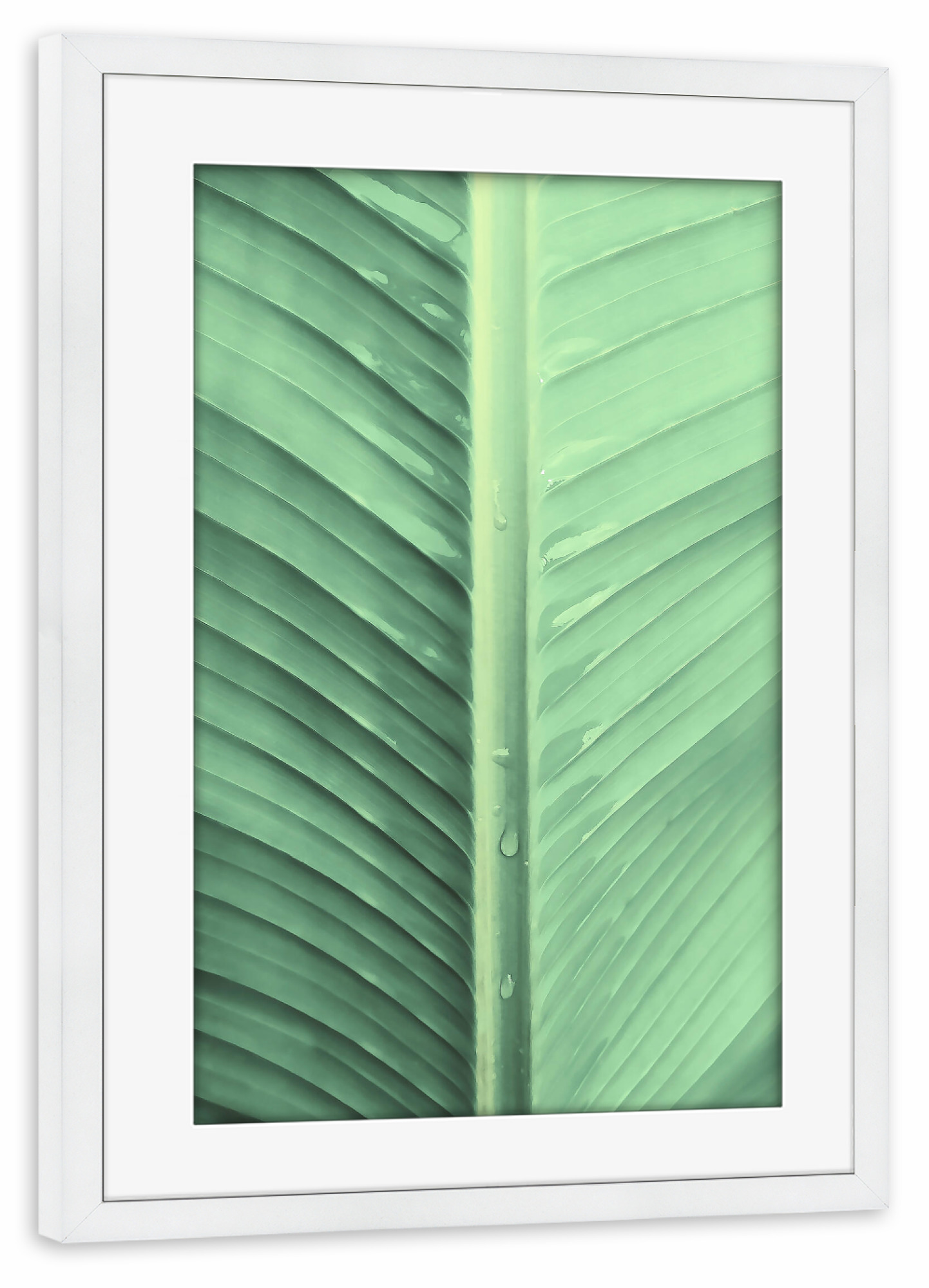 Poster mit Rahmen weiß "Banana Leaf Macro" artboxONE - Natur