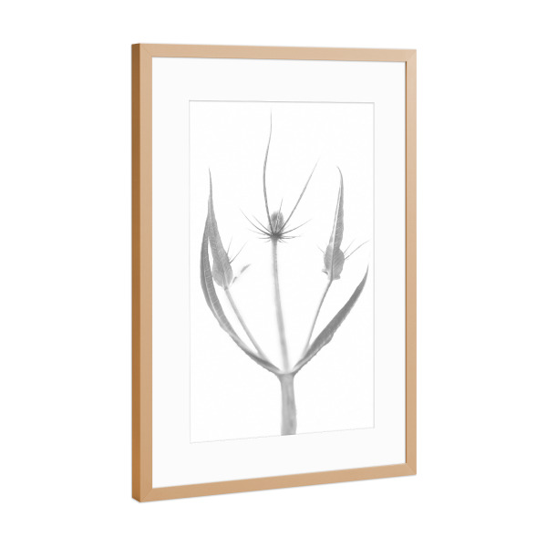 Poster mit Rahmen Kupfer "Dreamer" artboxONE - Natur,Floral,Abstrakt