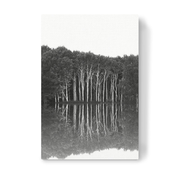 Leinwandbild "Spiegeltor" artboxONE - Natur,Schwarzweiß