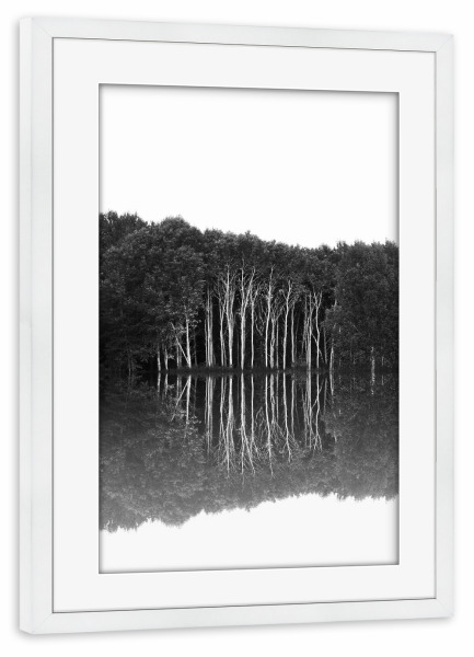 Poster mit Rahmen weiß "Spiegeltor" artboxONE - Natur,Schwarzweiß