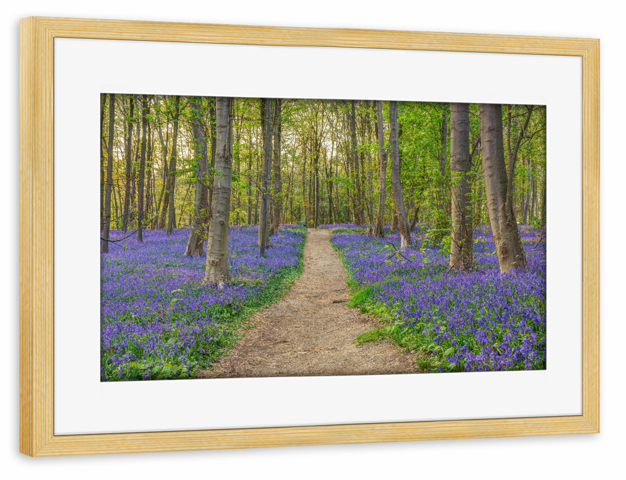Poster mit Rahmen kiefer "Wald der blauen Blumen" artboxONE - Natur,Reise
