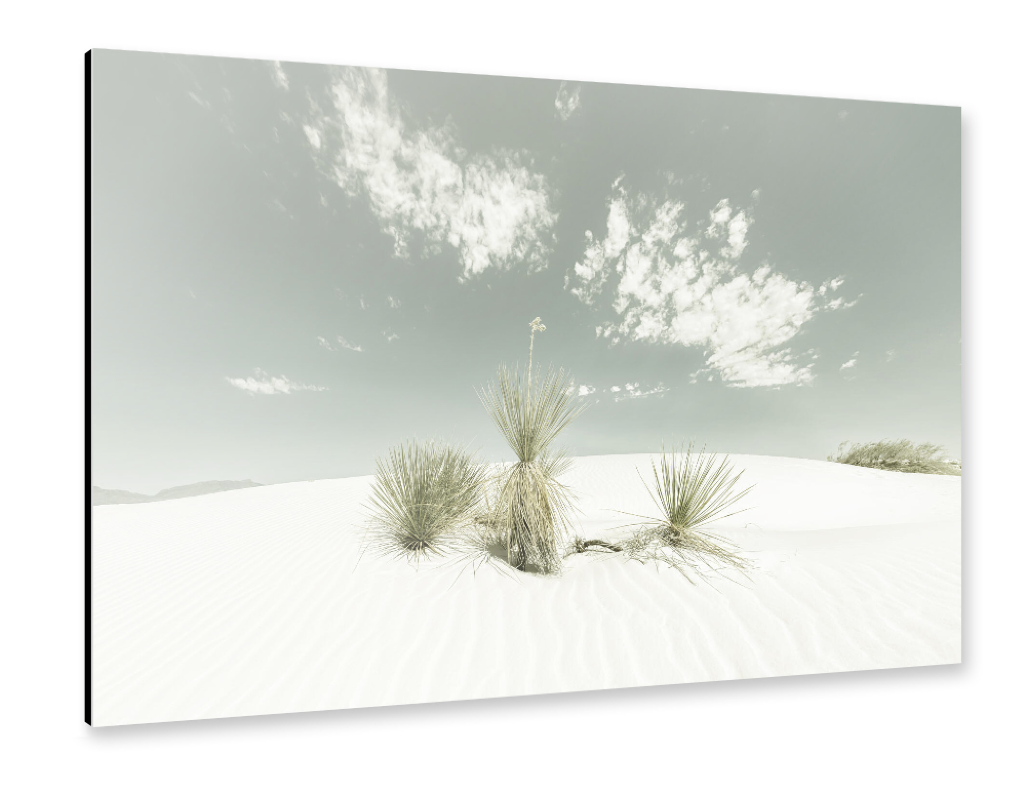 Alu-Dibond "White Sands | Vintage" 75x50 cm artboxONE