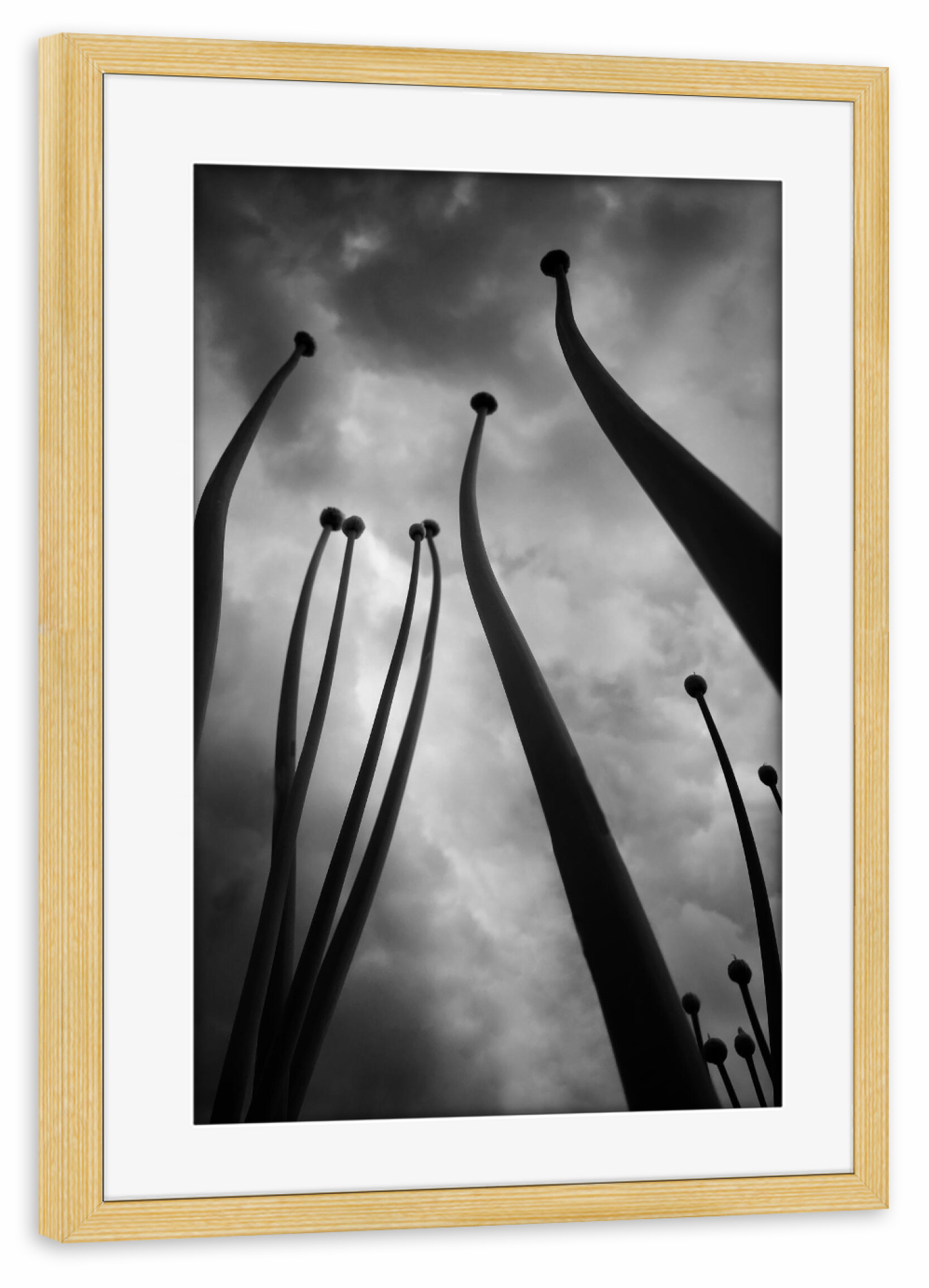 Poster mit Rahmen kiefer "Rising Up" artboxONE - Natur,Floral,Abstrakt