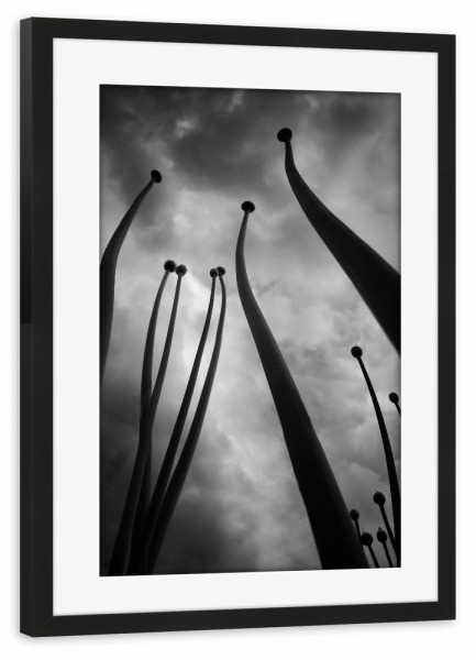 Poster mit Rahmen schwarz "Rising Up" artboxONE - Natur,Floral,Abstrakt