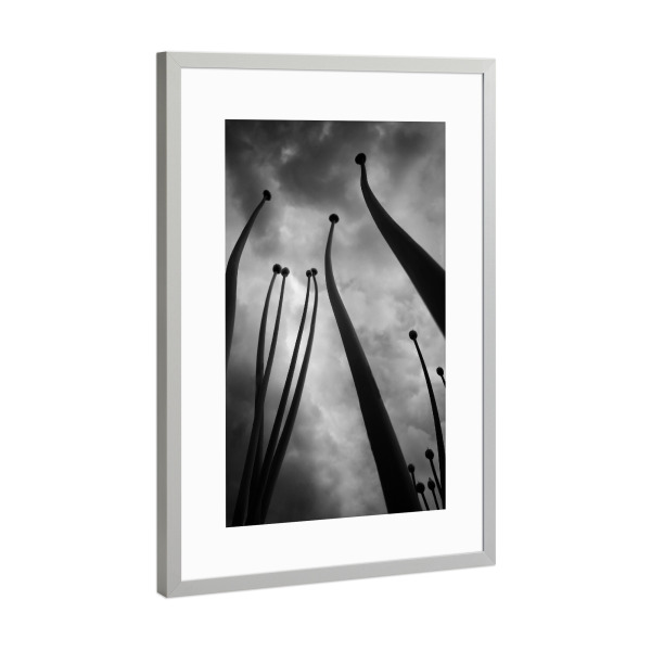 Poster mit Rahmen Silber "Rising Up" artboxONE - Natur,Floral,Abstrakt