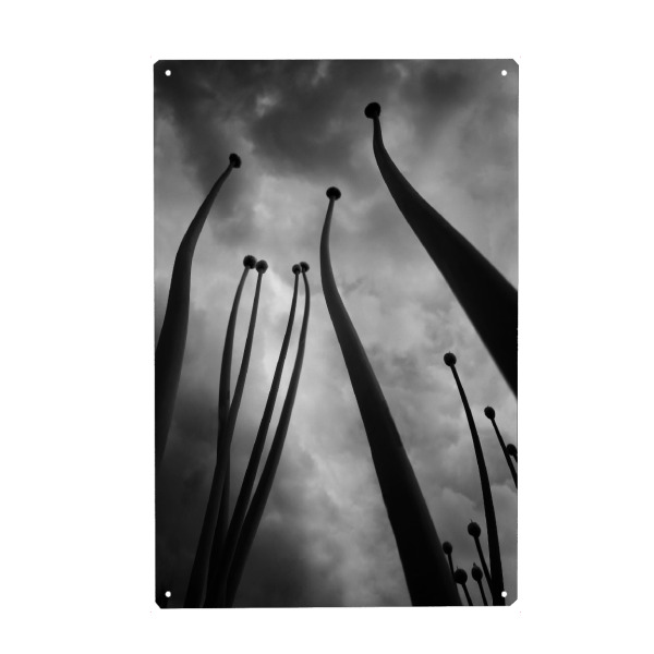 Holzbild "Rising Up" artboxONE - Natur,Floral,Abstrakt - Natur,Nature,Floral,Abstrakt,Plant,Pflanze,Closeup,Nahaufnahme,Schwarzweiß,Blackandhite