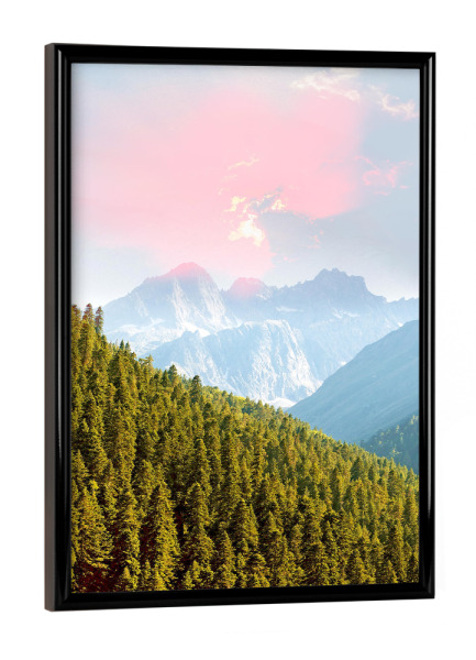 Poster mit schwarzem Rahmen "Evergreen Nature" artboxONE - Natur,Reise
