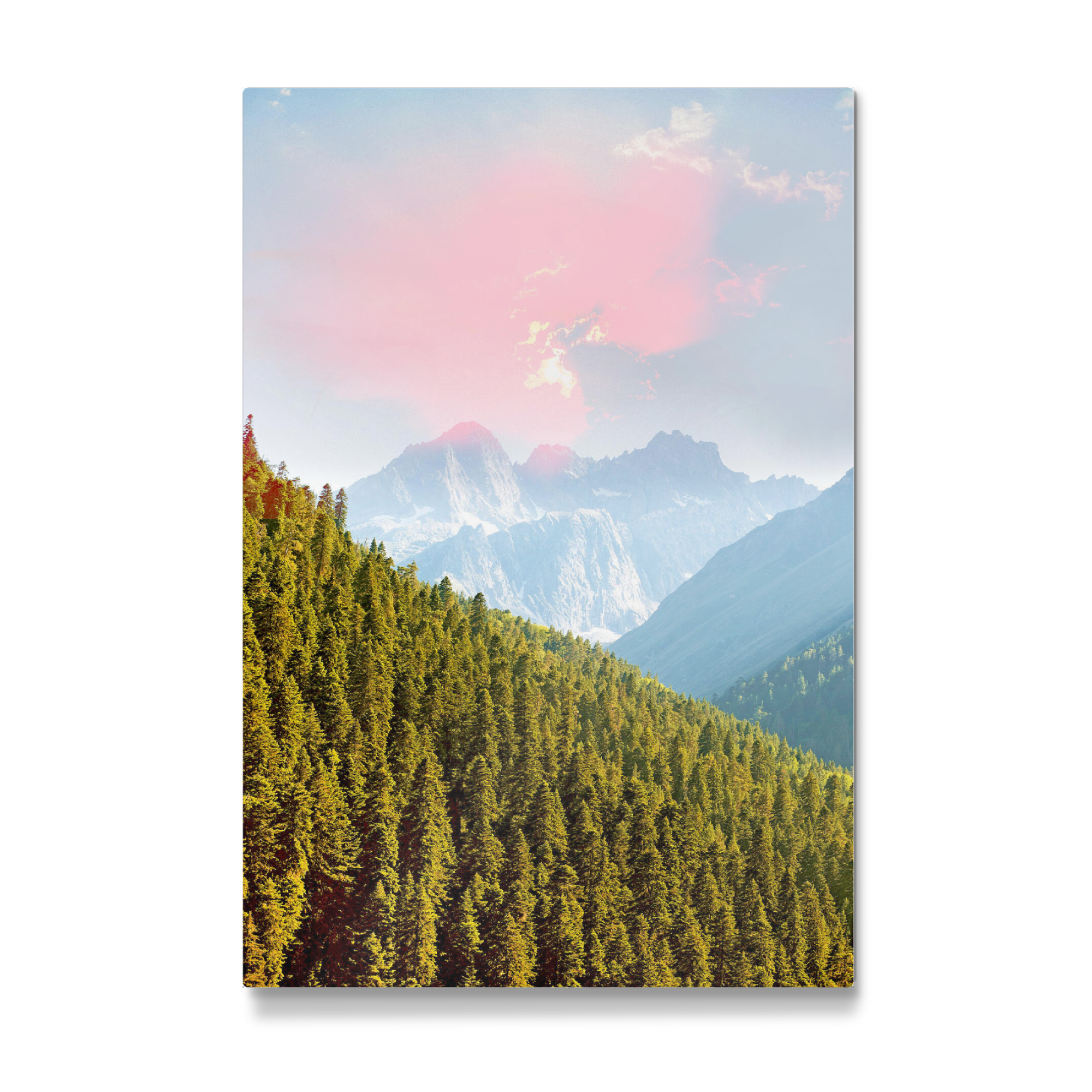 Galerie-Print "Evergreen Nature" 75x50 cm artboxONE