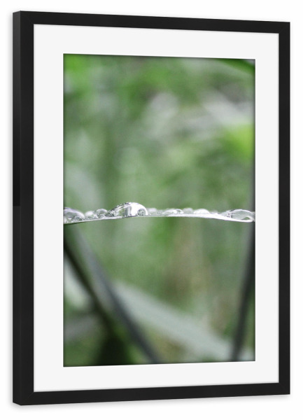 Poster mit Rahmen schwarz "The waterdrop" artboxONE - Natur - Nature,Tropfen,Wasser,Water,Drop,Closeup,Nahaufnahme,Green,Grün